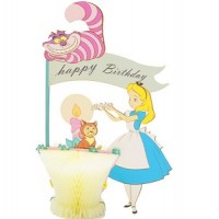 Handmade 4D Pop Up Card Box Alice in Wonderland honeycomb Happy Birthday Cupcake cat racoon party invitation 